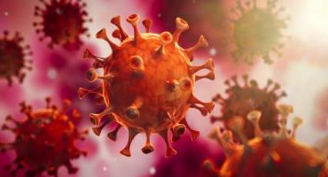 Esperanzador hallazgo : Identifican los fármacos con capacidad para frenar la mortalidad del Coronavirus
